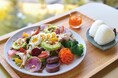 猛暑の夏は、手ぶらでお立ち寄りを。中之条ガーデンズが「入園料なしでショップ・食堂利用可能に」　夏季限定トライアルを実施