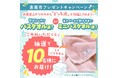 【泉南市ふるさと納税】魅力発信マガジン「せんなん なんなんなん」9月増刊号を公開