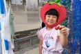 【6月土日限定】特別賞受賞トマトの無人詰め放題 双子トマト探しも