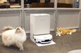 エコバックスが猫カフェ・屋内ドッグランなどペット施設にロボット掃除機「DEEBOT T90 シリーズ」を導入