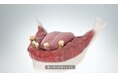 入れ歯の時代が終わる。歯科界に革命をもたらす新治療「オールオンX」のイメージCG完成。