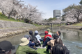 岡崎城公園で「舟あそび」運航　桜を水上から楽しむお花見体験