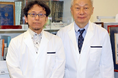 死細胞を除去するしくみを利用した新しい免疫治療法の開発