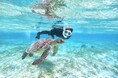 沖縄離島のアクティビティ「ADVENTURE PiPi」、累計ツアー参加者50万人を突破！