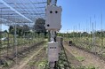 気候変動・労働人口減少時代の果樹生産を支援する露地果樹向けスマート防災網システム「ロジシェード」の試験販売を開始