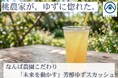 市販品では物足りない —— 果汁と香りを妥協しない柚子へ岡山・自然栽培の樹上完熟柚子で、新しい日常飲料を提案