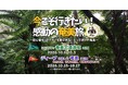 今こそ行きたい！感動のグットリ奄美旅