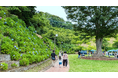 【千葉県印西市】地域コーディネーターと市民が咲かせた！市制施行30周年記念「あじさいまつり」開催レポ