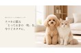 “うちの子の名刺”、明日のオフ会に間に合う。スマホ10分・セブン‐イレブンで即日200円