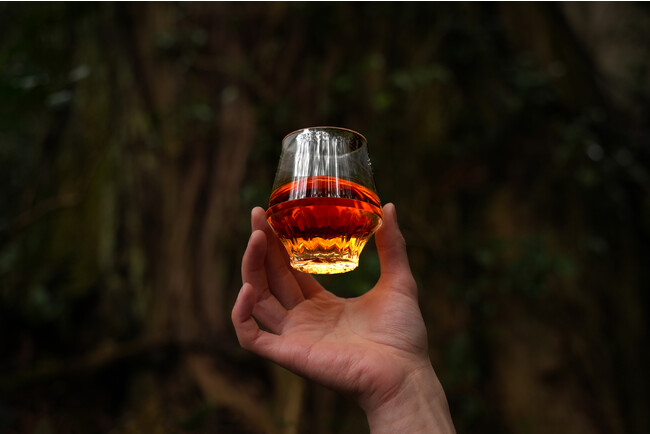 画像の説明：森を背景に、香りお良いお酒の入ったKINJO JAPAN F0を高く持っている様子