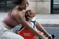 Brook & Breeze、Interpets Osaka 2026 に出展　“犬視点”から生まれたペットモビリティを展示