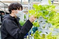 4日間短期集中でアクアポニックスを学ぶ、農業実習付きの「事業化検討コース」が新設【アクアポニックス・アカデミー】