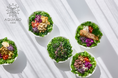 アクアポニックス産野菜を使ったサラダボウル店「AQUAMO salad」が2026年2月虎ノ門にオープン