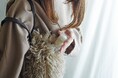 「あとで塗る」から「今、塗れる」へ。LYKKE、持ち歩ける「クラックドヒールバーム ミニ」新発売