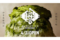 京都先斗町に『甘味処 旅氷』が4月3日（金）オープン！東京・湯島の人気店『サカノウエカフェ』監修のご褒美かき氷で安らぎの時間を提供します！