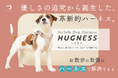 [開始12時間で目標達成] 犬にも人にも優しい次世代ハーネス【HUGNESS(ハグネス)】がCAMPFIREで70万円を突破！furfolkが目指す、新しいお散歩のスタンダード。