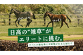 売却白紙になった”ドラマ出演馬”2頭を競走馬デビューへ。日高の牧場が1,000万円を目標に支援募集