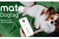 【9/13開催】湘南DOG BOUSAI FESTAにgood株式会社「mate」が協賛｜愛犬の情報を持ち歩く「mate Dogtag」を来場者へ配布