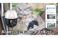 AIでクマを識別しスマホに即時通知。スマートカメラで里山地区のクマ対策をサポートする「AIクラウドサービス」を提供開始。自治体の鳥獣被害対策にも。