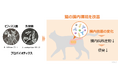 ビフィズス菌G9-1と乳酸菌KS-13による猫の腸内環境改善作用を確認