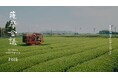 【大隅未来ラボ】300haの茶畑から大隅半島のテロワールを再定義する「薩摩会議」特別セッションを鹿児島県志布志市で開催