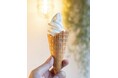 木崎湖の絶景と楽しむ「MT. DESERT ISLAND ICE CREAM」の人気ソフトクリームが THE KIZAKI CAMP & LAKE RESORT に登場！