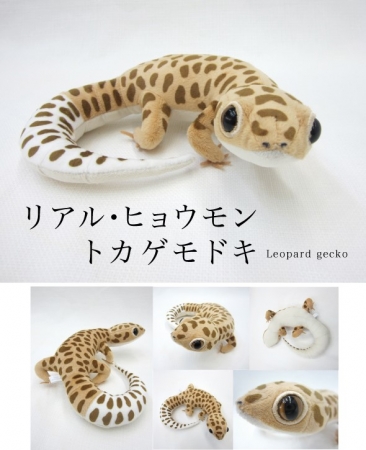 リアルでかわいい 爬虫類ぬいぐるみがヴィレヴァンオンラインに登場 ヴィレッジヴァンガードのプレスリリース