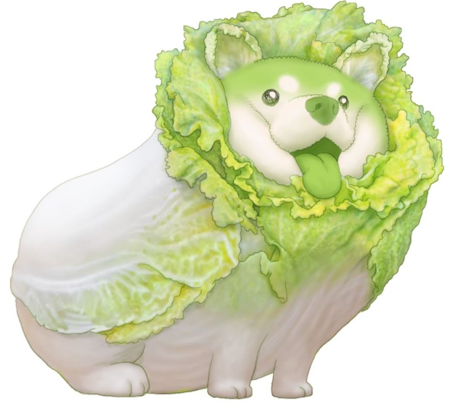 大人気 お野菜と動物が融合した おやさい妖精さん のヴィレヴァンコラボグッズがオンライン限定で発売決定 ヴィレッジヴァンガードのプレスリリース