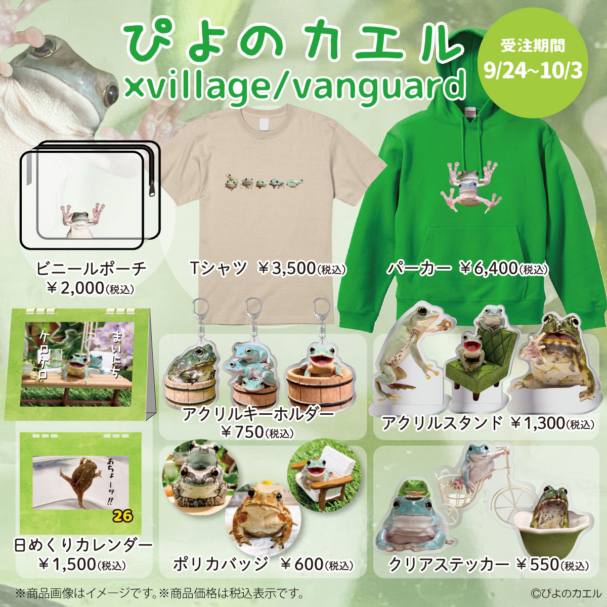 ぴよのカエル Village Vanguard 9月24日 金 よりecサイトにてコラボグッズ限定発売 ヴィレッジヴァンガードのプレスリリース ぴよのカエル Village Vanguard 9月24日 金 よりecサイトにてコラボグッズ限定発売 ヴィレッジヴァンガードのプレスリリース
