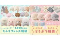癒され放題！もふもふどうぶつの福袋が発売中！