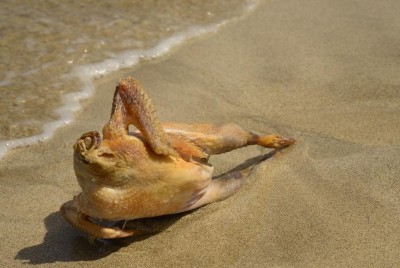 ようこそ鶏肉グラビアの世界へ 鶏肉と過ごしたあの夏をテーマに作成した写真集 鶏夏 と鶏肉 グラビアポストカードセットを本日より予約注文受付を開始 ヴィレッジヴァンガードのプレスリリース