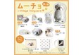 【ムーチョ×ヴィレッジヴァンガード】限定コラボグッズ第二弾発売決定!