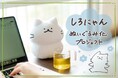 イラストレーター猫原のしさんが描く人気キャラクター「しろにゃん」のぬいぐるみが登場!