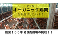 オーガニック鶏肉生産販売挑戦のクラウドファンディング開始