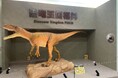 大阪・関西万博の恐竜VRが福井・おおい町で初めての夏休み