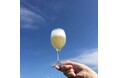 穴水町・能登ワインで、できたて「ペルレ」を味わって