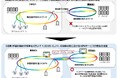 AI時代の低遅延・低消費電力なネットワークの設計指針がITU-Tで国際標準化