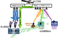 低軌道衛星MIMO技術と衛星センシング技術の軌道上実証実験開始