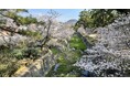 【5月24日開庵】西宮・夙川に、暮らしに溶け込む住宅併設の本格茶室「夙央庵」誕生。正座不要、靴のまま楽しめる茶の湯体験。