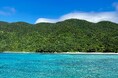 FP事務所ウィンカムが奄美大島で「海洋散骨」を開始