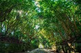 【酒列磯前神社】 7/19（日）は・・・「天赦日」×「一粒万倍日」×「大安」！　令和８年最大の開運日、”限定ご朱印” 頒布決定