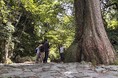 鳥取県大山寺エリアに株式会社 大山流域研究所を設立 「流域哲学道場 天狗茶屋」構想を始動