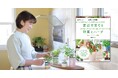 ⼈気の野菜やハーブが空き容器で気軽に育てられる︕ 『お部屋で収穫︕ 窓辺で育てる野菜とハーブ』2月17日発売!