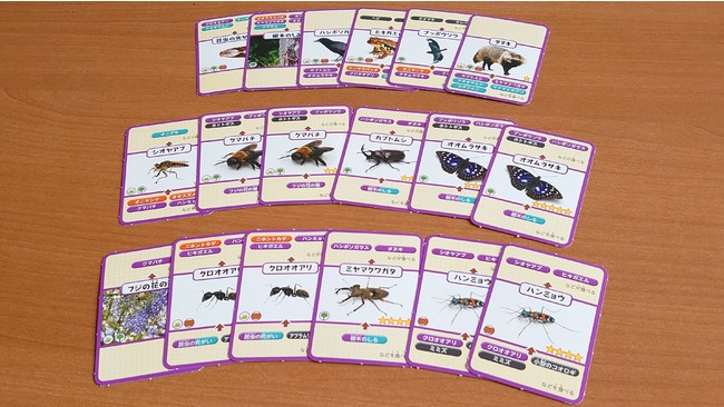 昆虫をとりまく自然カード