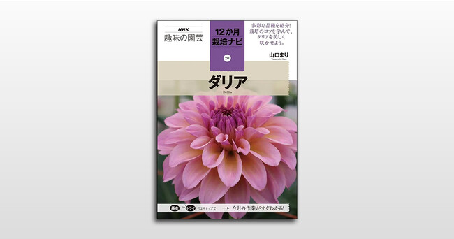 ダリア栽培のすべてが詰まった Nhk趣味の園芸 12か月栽培ナビ ダリア が９月16日発売 株式会社ｎｈｋ出版のプレスリリース