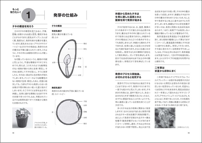 「発芽の仕組み」