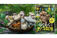 『趣味の園芸 やさいの時間』12-1月号は創刊以来初の「キノコ」特集!