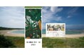 「南の琳派 田中一村カレンダー 2025」、「卓上 田中一村 カレンダー 2025年」9月2日発売