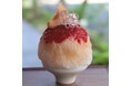 ニューヨークレストラン「サラベス」 BASEGATE横浜関内店 吉祥寺のかき氷専門店「氷屋ぴぃす」とコラボ、2期にわけてスペシャルセットを販売