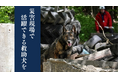 救助犬訓練士協会（RDTA）が、国際基準の救助犬育成と認定試験開催のため300万円を目標にクラウドファンディングを開始
